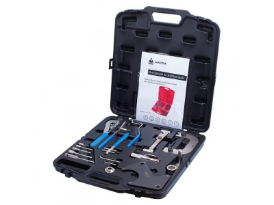 Набор фиксаторов распредвала / коленвала, RENAULT, кейс, 20 предметов, МАСТАК от МАСТАК Набор фиксаторов распредвала / коленвала, RENAULT, кейс, 20 предметов, МАСТАК