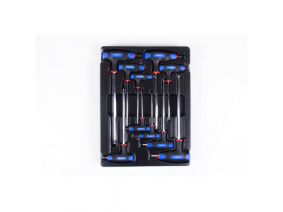 Набор ключей Т-образных шестгранных H2-H12 с пластиковой рукояткой 10пр. в ложементе от LICOTA Набор ключей Т-образных шестгранных H2-H12 с пластиковой рукояткой 10пр. в ложементе