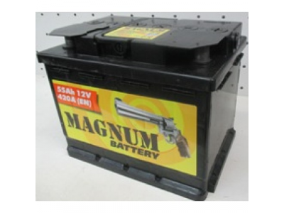 Аккумулятор 6ст - 55 (Magnum) пп от MAGNUM Аккумулятор 6ст - 55 (Magnum) пп