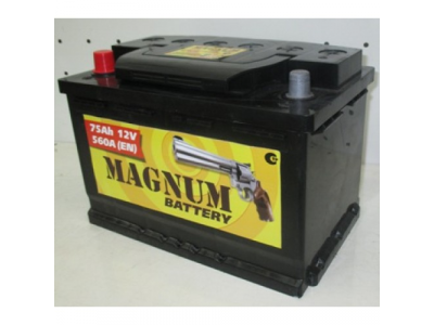Аккумулятор 6ст - 75 (Magnum) - пп от MAGNUM Аккумулятор 6ст - 75 (Magnum) - пп