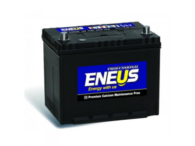 Аккумулятор 6ст - 105 (Eneus) Professional 311000Т винт.выводы от ENEUS Аккумулятор 6ст - 105 (Eneus) Professional 311000Т винт.выводы